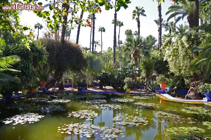 Immagine Specchio d'acqua ai giardini Majorelle di Marrakech, Marocco - Una bella immagne di uno stagno con le ninfee e gli immancabili vasi colorati fra cui spiccano quelli blu Majorelle: questo parco botanico è una delle attrazioni più visitate dai turisti in tour a Marrakech
