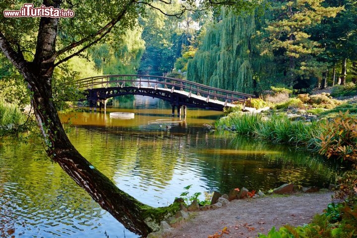 Immagine Giardini botanici a Wroclaw, Polonia - Fondato nel 1811 come Istituto Scientifico dell'Università, l'orto botanico di Breslavia ospita piante che provengono da ambienti naturali e giardini di tutto il mondo. Fra le curiosità che qui si possono ammirare vi è la sezione geologica di carbone fossile © Dariush M / Shutterstock.com