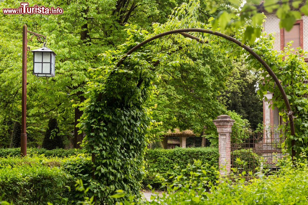 Immagine Il Giardino di Grazzano VIsconti è da vivere specialmente in primavera, la stagione per eccellenza in cui tutto fiorisce, e le rose sbocciano dando colore al manto erboso e alle siepi geometriche sulle quali s’impernia uno spettacolo scenografico incredibile dove giochi d’acqua, fossati, aiuole, ampi viali e boschi confezionano un elegante giardino all'italiana che porta all’agognato belvedere affacciato sulla campagna nonché alla casetta dei bambini (costruita dal duca per le figlie Uberta e Nane) e al labirinto presagito dalla guardia stoica delle due sfingi poste all’ingresso. L’intento del Visconti era quello di creare uno spazio sempreverde in cui coabitassero specie diverse in ambito botanico, ecco dunque spiegato il caleidoscopio che mette in scena sul medesimo livello cipressi, lecci, pini, noccioli, olmi e pioppi neri, cedri e bambù. I grandi vecchi disposti in 150.000 mq sono un platano ultrasecolare (150 anni) e un tiglio di ca. 80 anni. A far capolino fra le lussureggianti piante spunta una ricca fauna con esemplari a dir poco eccezionali, conviventi in piena libertà: ghiandaie, picchi, tassi, scoiattoli e tanti volatili si rendono protagonisti della popolazione animale presente, contemplata attraverso le attività di birdwatching e biowatching. Si organizzano perfino visite notturne per praticare l’Owl watching e ammirare stuoli di lucciole che compaiono soprattutto in estate. Il Butterfly Heaven, infine, è stato creato per preservare la vita delle farfalle fra gli alberi da frutta e le essenze aromatiche che spandono profumi d’immenso per centinaia di metri.