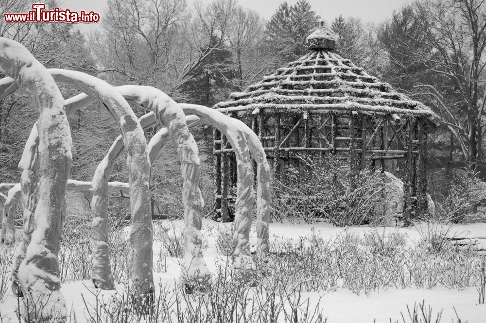 Immagine Il giardino delle rose all'Elizabeth Park di Hartford, in inverno con la neve, Connecticut.