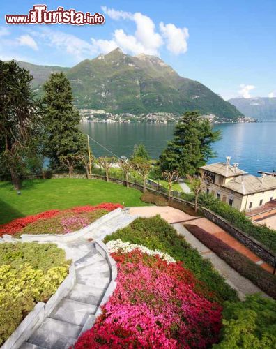 Immagine Un giardino fiorito a Faggeto Lario, con splendido panorama sul Lago di Como - © Zocchi Roberto / Shutterstock.com