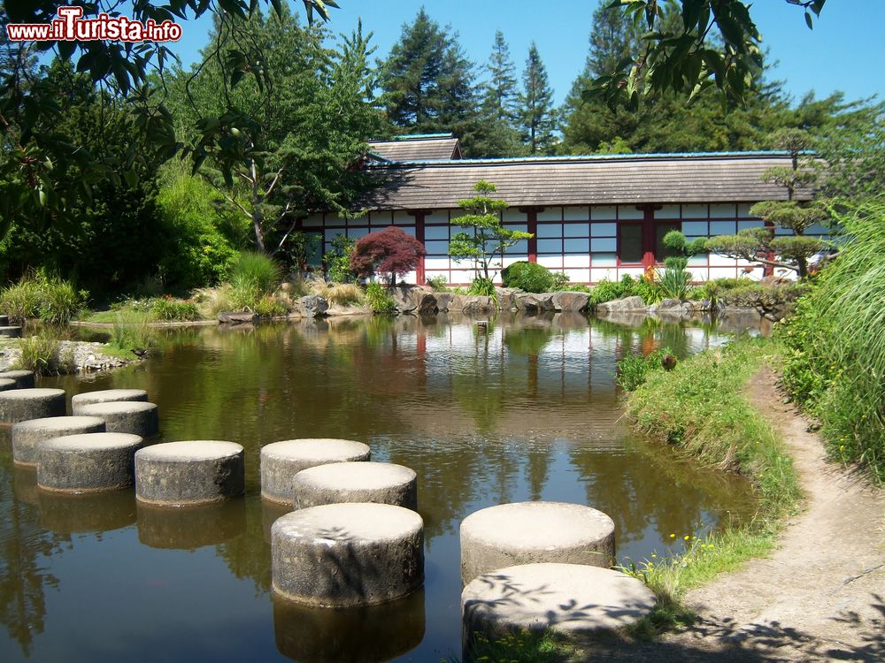 Immagine Il giardino giapponese di Nantes, Francia. Situato sull'isola di Versailles, il giardino giapponese è la perfetta ricostruzione di un parco del Sol Levante con piccoli templi, giardini, laghetti e arbusti provenienti dall'Estremo Oriente.