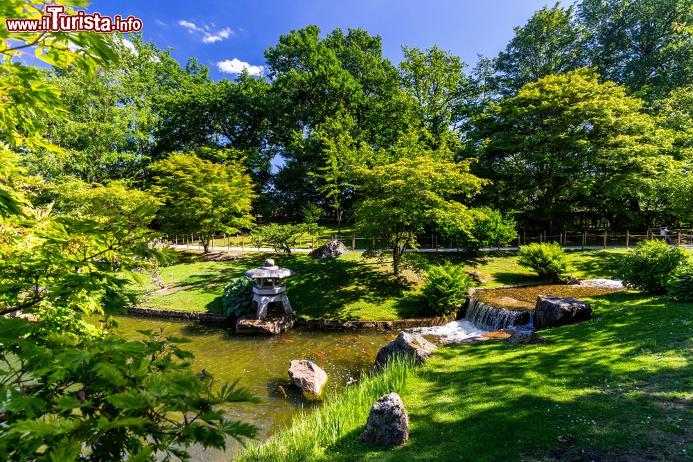 Immagine Giardino giapponese nella città di Hasselt, Belgio, in una giornata estiva. Il parco è stato realizzato in collaborazione con la cittadina di Itami, gemellata con Hasselt.