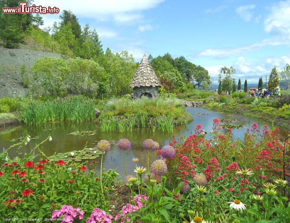 Immagine Un giardino in stile inglese con una casetta nei pressi del lago, Asahikawa, Hokkaido, Giappone - © lovelypeace / Shutterstock.com