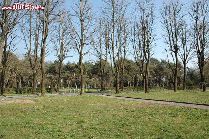 Immagine Giardino pubblico a Crespi d'Adda - non mancavano spazi verdi nel contesto di Crespi d'Adda, villaggio operaio di grande importanza storica e sociale, unico in Italia. Oltre a un bel giardino pubblico infatti, gli abitanti di questa piccola "città ideale" potevano usufruire di un vasto campo sportivo completo di campo da calcio, pista ciclabile e campi da tennis. 