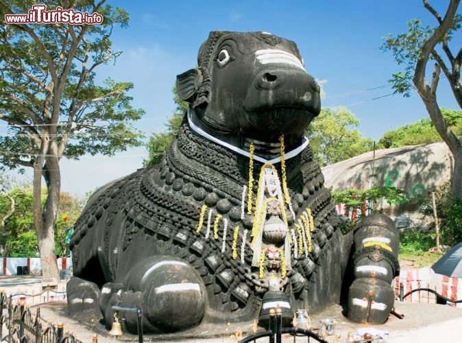 Immagine Gigantesca statua in metallo di Nandi, la mitica cavalcatura di Shiva (divinità induista) a Mysore, india - © Aleksandar Todorovic / shutterstock.com