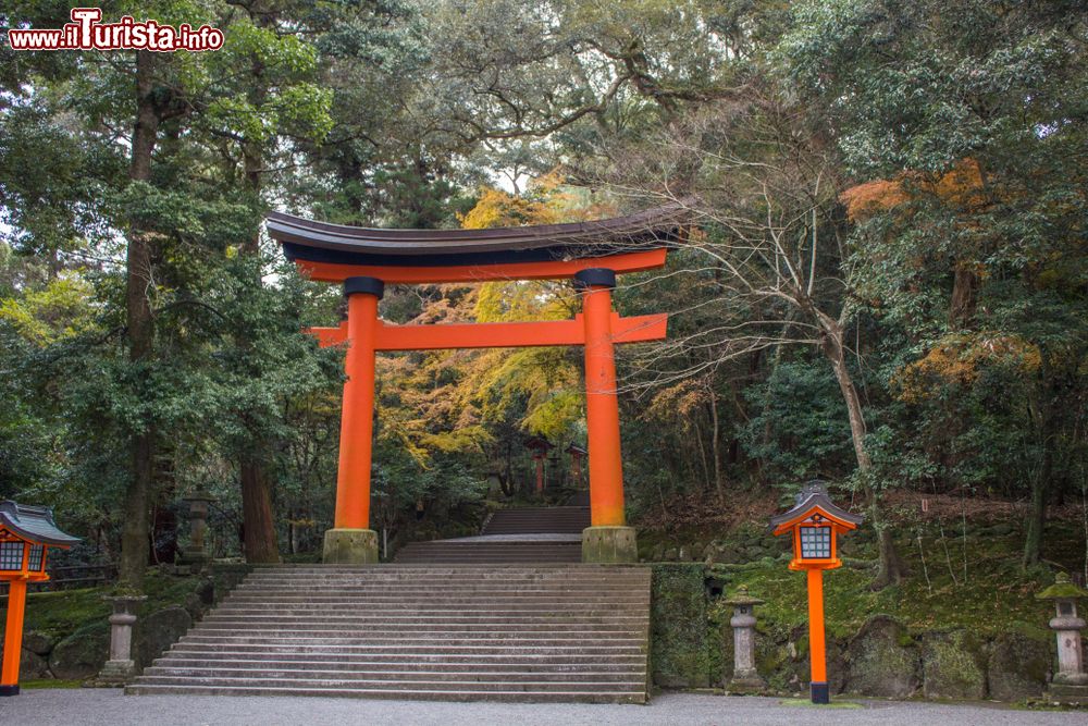 Immagine Un gigantesco cancello torii all'ingresso del santuario shintoista nella città di Usa, Oita, Giappone.