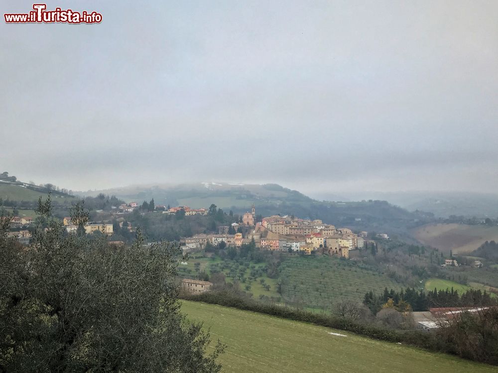 Immagine Giornata autunnale tra le colline di Cartoceto nelle Marche