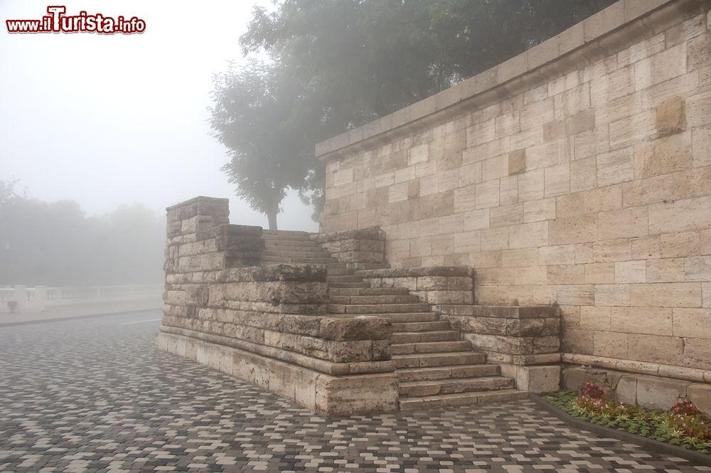Immagine Giornata di nebbia nel parco della reggia di Colorno in Emilia