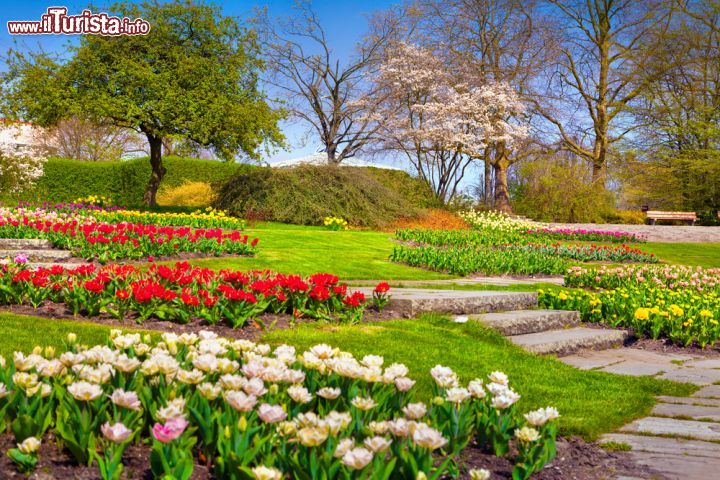 Immagine Giornata primaverile al giardino botanico di Essen, Germania -  Nato nel lontano 1927, il Grugapark è una delle aree botaniche più interessanti d'Europa. Qui si possono ammirare fiori e piante di ogni specie, osservare animali, praticare sport e rilassarsi trascorrendo una giornata con famiglia e amici. Il parco ospita anche l'arena di Grugahalle dove, soprattutto in estate, si svolgono concerti e serate a tema musicale: inaugurata nel 1958, vi possono trovare posto a sedere 7.700 persone e oltre 10.000 in piedi © Andrew Mayovskyy / Shutterstock.com