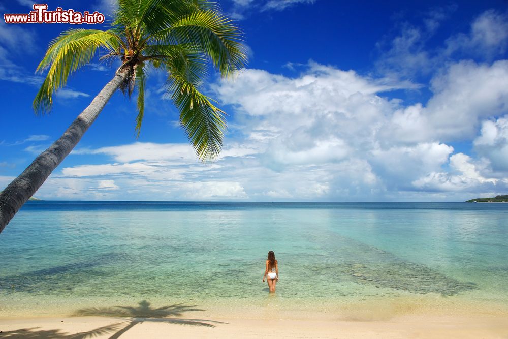 Immagine Una giovane donna in bikini in relax nell'acqua limpida a Nananu-i-Ra, vicino a Viti Levu, Figi.