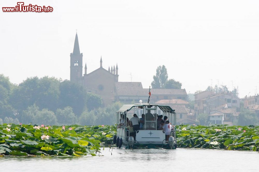 Immagine Gita in barca tra i fiori di loto tra Mantova e il Santuario della Beata Vergine delle Grazie (Lombardia).