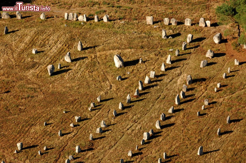 Immagine Gli allineamenti di Carnac visti dall'alto, Bretagna, Francia. Si tratta di uno dei più grandi complessi megalitici del mondo con circa 3 mila monoliti eretti sei mila anni fa.