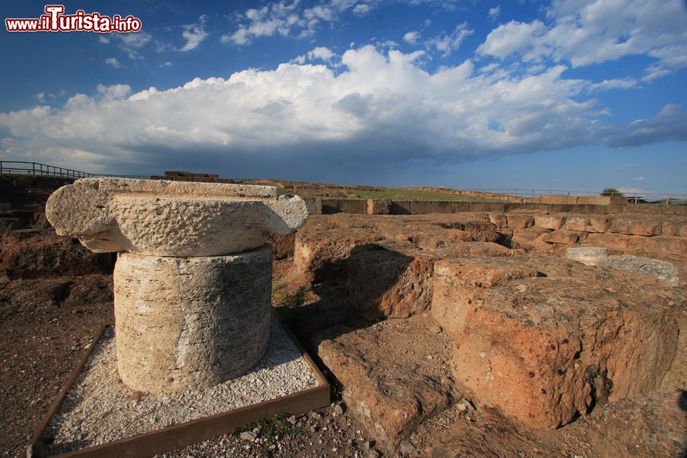 Immagine Gli scavi archeologici di Vulci a Canino