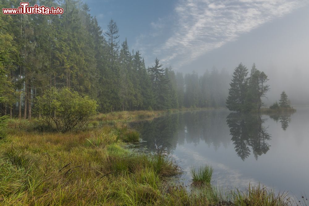 Immagine Gli stagni di Bahnak vicino a Kladska in Boemia