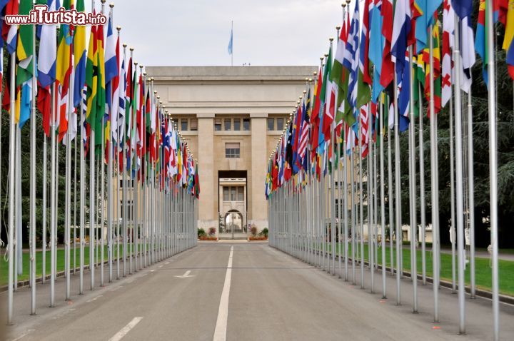 Immagine Gli uffici delle Nazioni Unite a Ginevra, Svizzera. Il viale con tutte le bandiere che conduce al Palazzo dell'ONU