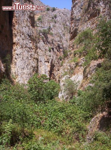 Immagine Le gole della Tardara si trovano nei dintorni di Sambuca di Sicilia: sono lunghe circa 2 km - © Mario Bonaviri - panoramio, CC BY 3.0 - Wikipedia