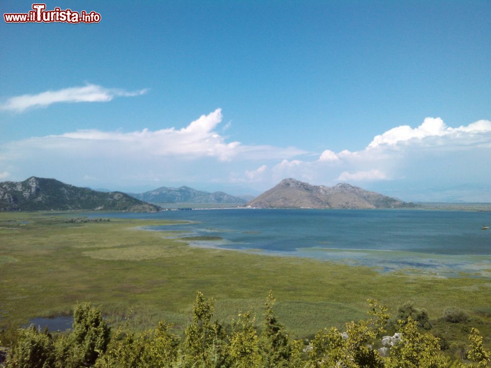 Immagine Gornji Murii sul lago di Skadar in Montenegro - © ines lukic - Wikimedia Commons