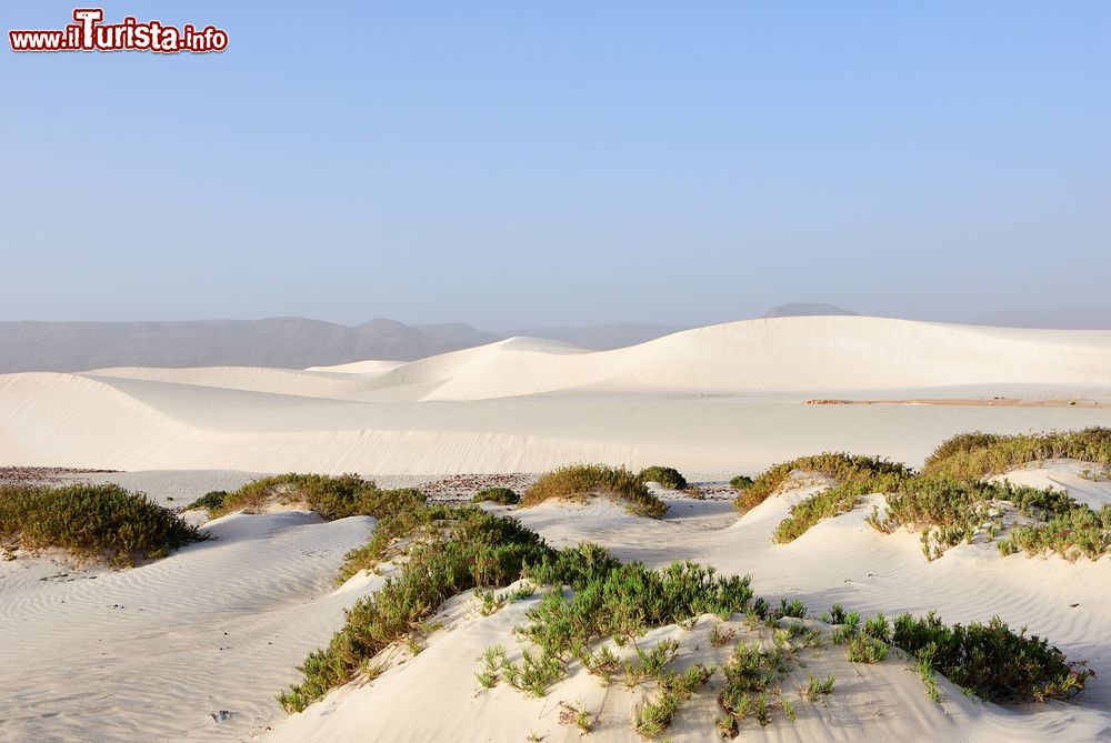 Immagine Una grande duna bianca a Aomak Beach al tramonto sull'isola di Socotra, Yemen. Quest'area protetta è un importante centro di biodiversità.