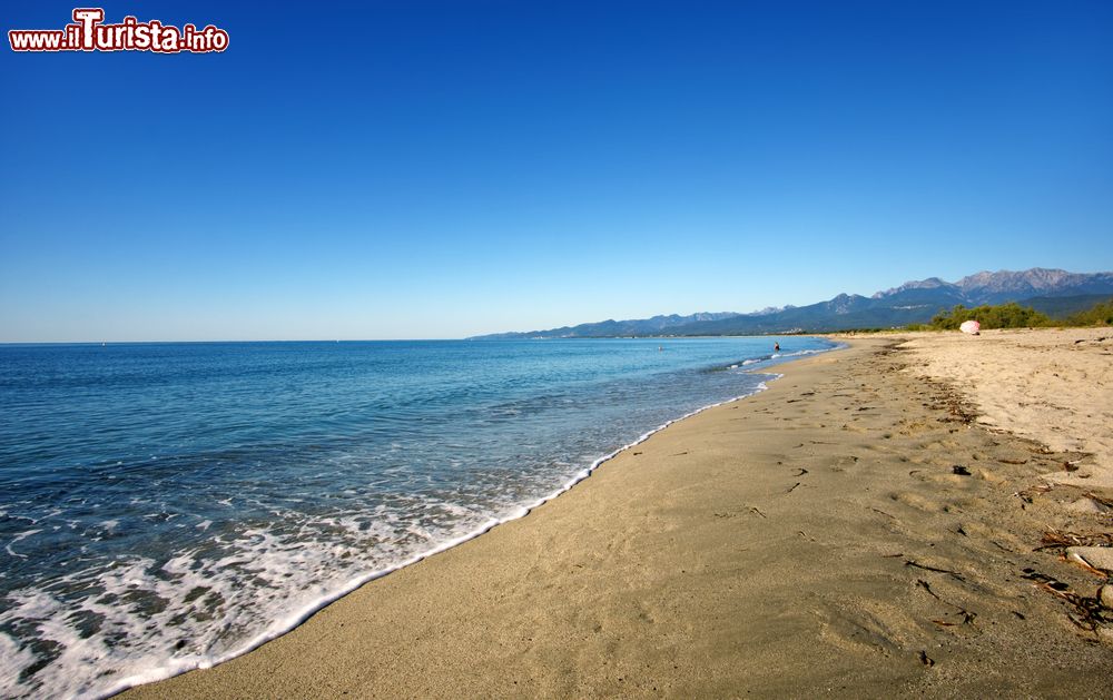 Immagine Grande spiaggia sabbiosa nei dintorni di Ghisonaccia in Corsica