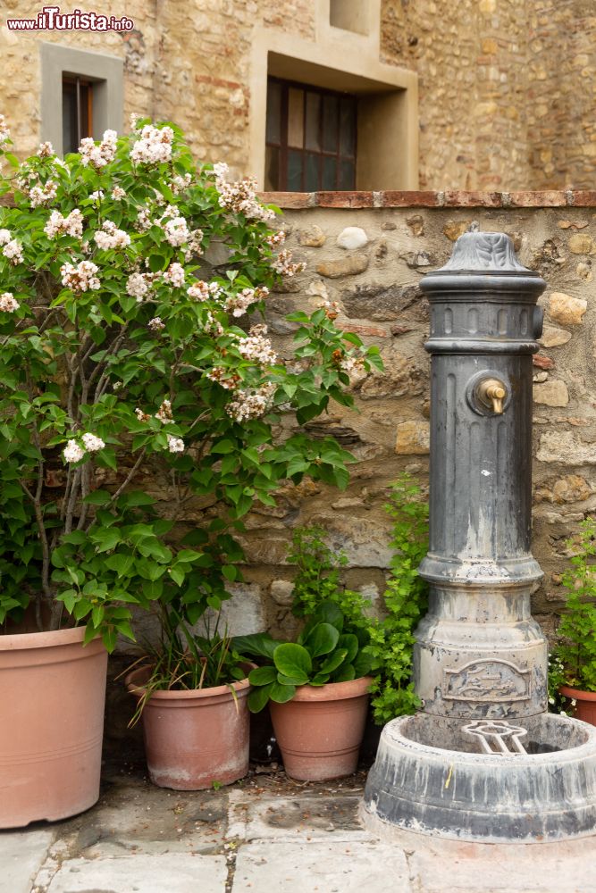 Immagine Una graziosa fontana pubblica con fiori nel centro storico di Barberino Val d'Elsa, Toscana.
