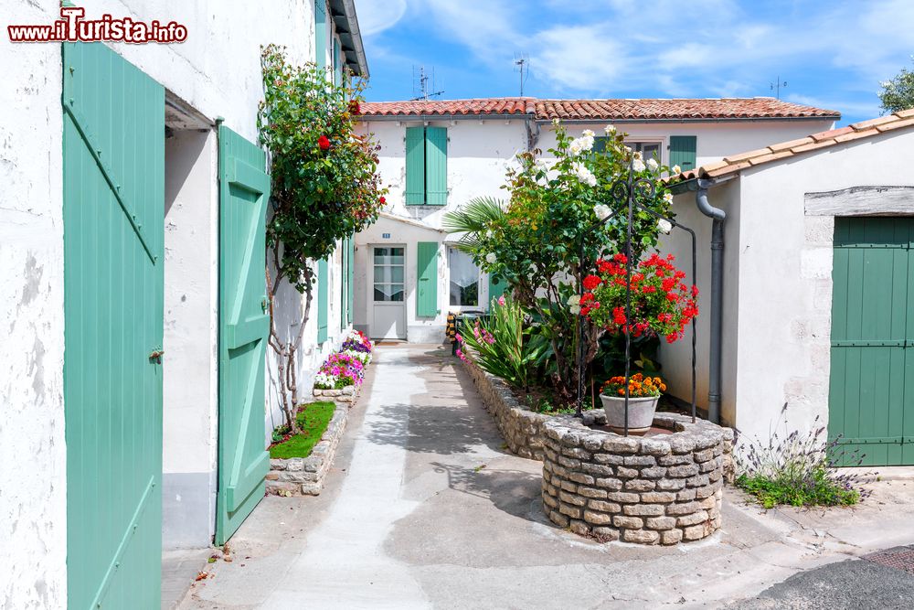 Immagine Un grazioso scorcio panoramico del centro di Ars-en-Ré, Ile-de-Ré, Francia. Infissi dai delicati colori pastello e piante profumate impreziosiscono le facciate delle case intonacate di bianco.