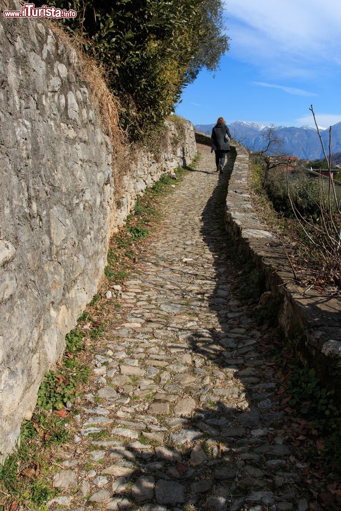 Immagine Greenway il sentiero: si trova sulla sponda ovest del Lago di Como, una delle attrazioni di Colonno