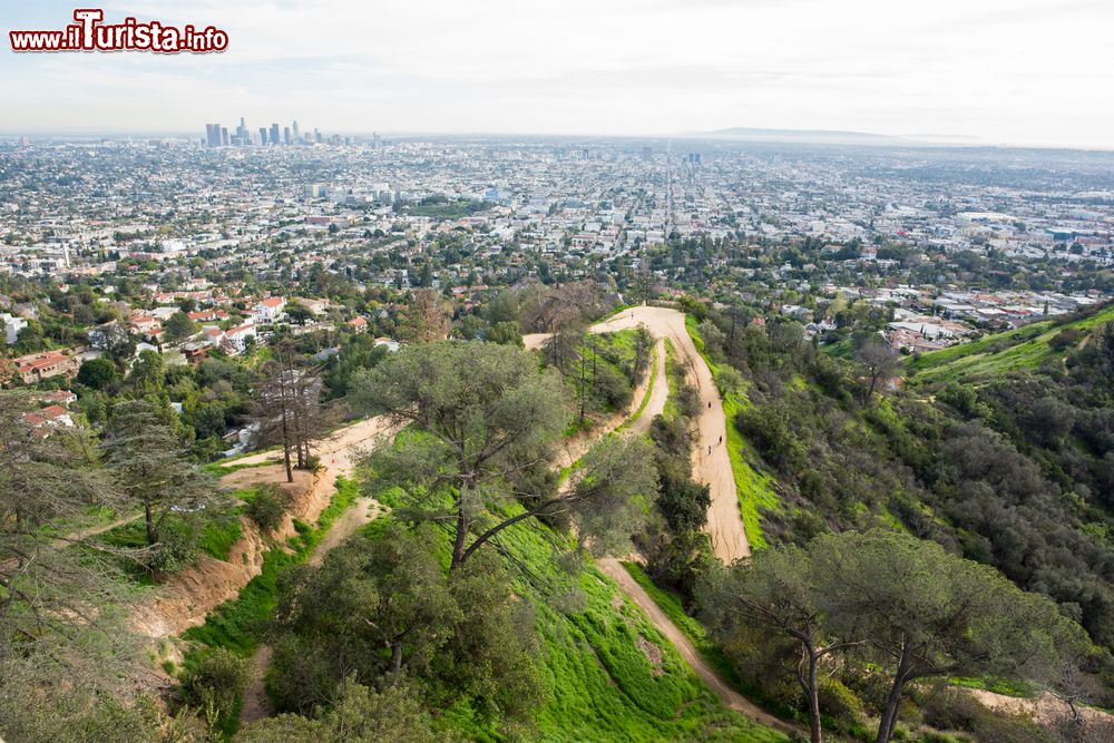 Immagine Griffith Park a Los Angels, punto panoramico