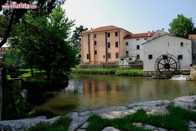 Le foto di cosa vedere e visitare a Grisignano di Zocco