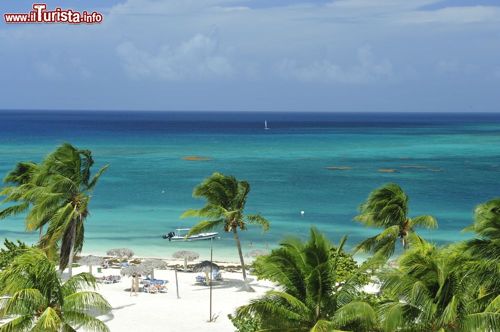 Immagine Le palme, la sabbia bianca e il mare turchese di Guardalavaca, una delle principali destinazioni turistiche di Cuba.