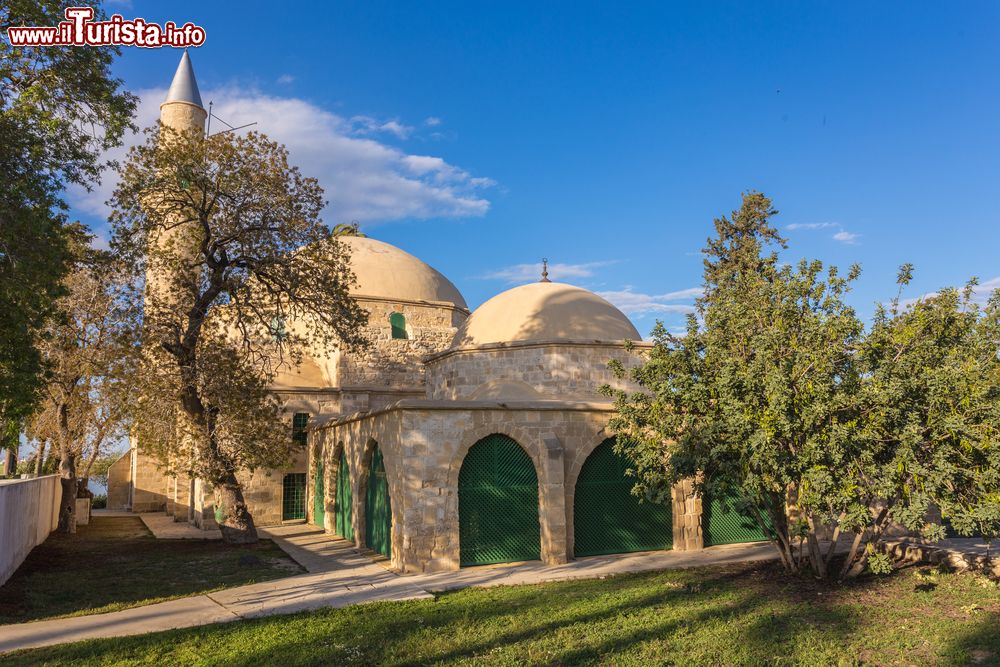 Immagine Hala Sultan Tekke Mosque di Larnaka, isola di Cipro: sorge sulel sponde del lago salato.