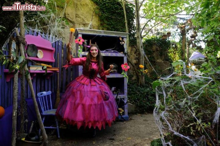 Immagine Festeggiamenti per Halloween a Mirabilandia, Emilia Romagna, Italia. Dolcetti, scherzetti, ragnatele e pozioni magiche anche per i più piccoli: il divertimento in questo parco di 850 mila metri quadrati a poche centinaia di metri dal Mare Adriatico non ha età