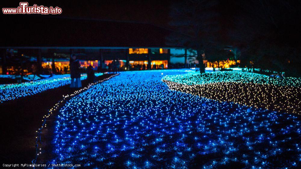 Immagine L'Happiness Corridor Nara Rurie by night (Giappone): si tratta di un evento con illuminazione notturna che collega santuario e templi rappresentativi della città di Nara - © MyPixelDiaries / Shutterstock.com