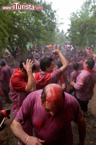 Immagine Il vino tinto è il protagonista assoluto della Batalla del Vino di Haro, manifestazione unica della Rioja, che si svolge ogni anno nella giornata del 29 giugno - © Rioja Turismo