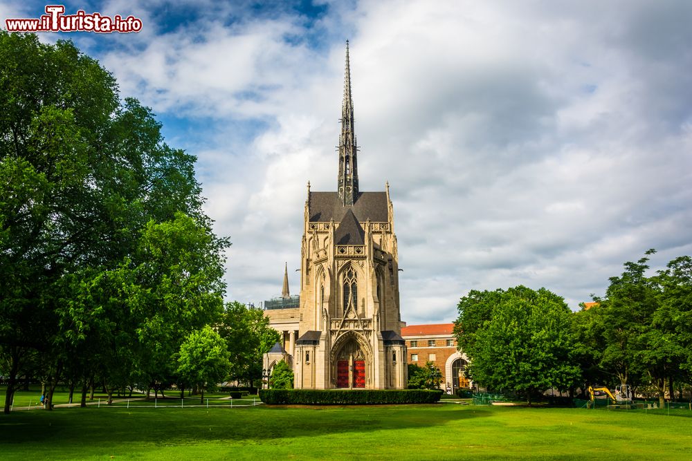 Immagine Heinz Memorial Chapel all'Università di Pittsburgh, Pennsylvania. Costruita nel 1938, ospita ogni anno un migliaio di eventi fra cui servizi religiosi, matrimoni, conferenze e concerti.