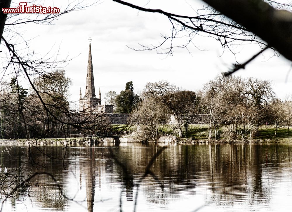 Immagine Hillsborough Forest Park a Lisburn, Irlanda del Nord. Il bosco ospita una grande varietà di flora e fauna.