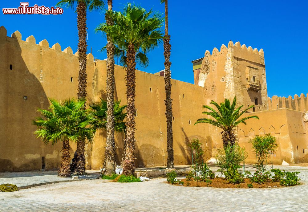 Immagine I bastioni della Medina di Sfax con le tipiche palme, Tunisia. La Medina di Sfax fu fondata nell’849 da Ali Ibn Salem, qadi di Sfax, su ordine del principe Aghlabide di Kairouan Abu Abbass Muhammad.