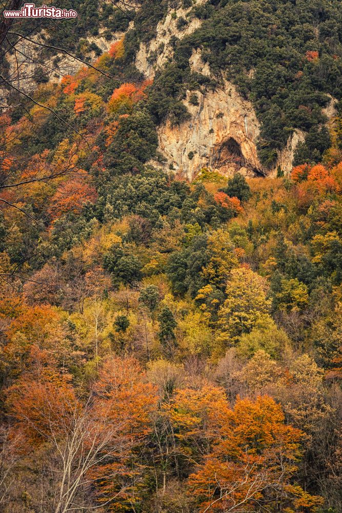 Immagine I boschi del Monte Terminio in autunno a Montella (Campania)