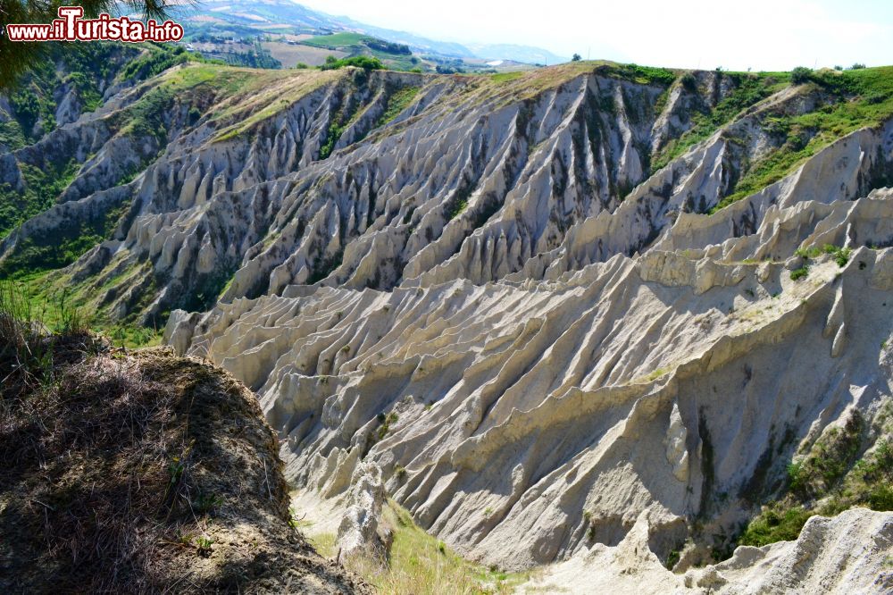 Immagine I Calanchi di Atri in Abruzzo By Dodo87 - Own work, CC BY-SA 3.0, Link