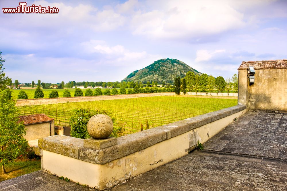 Immagine I Colli Euganei fotografati dalle campagne di Abano Terme in Veneto