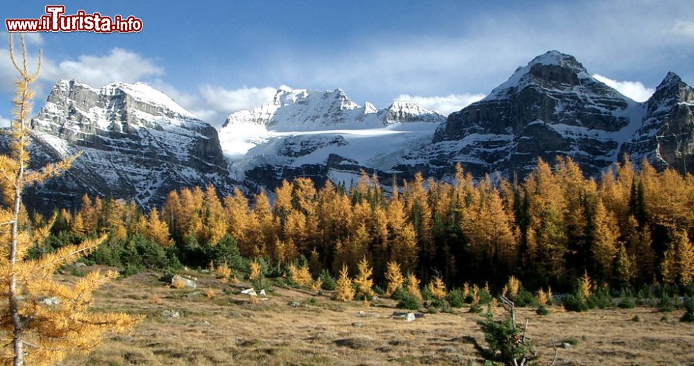 Immagine I colori d'autunno sulle Montagne Rocciose negli USA - © Steve Jurvetson - Wikipedia