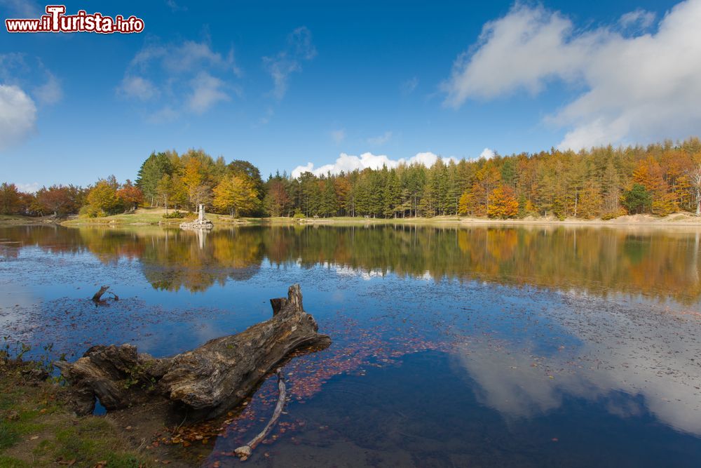 I colori dell'autuno sul Lago Calamone in ... | Foto ...