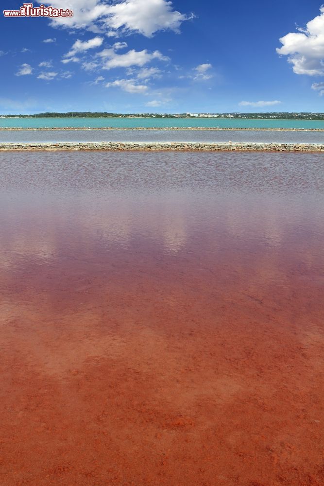 Immagine I colori delle acque nel parco Ses Salines di Ibiza-Formentera: dal viola delle saline al verde smeraldo del Mar Mediterraneo