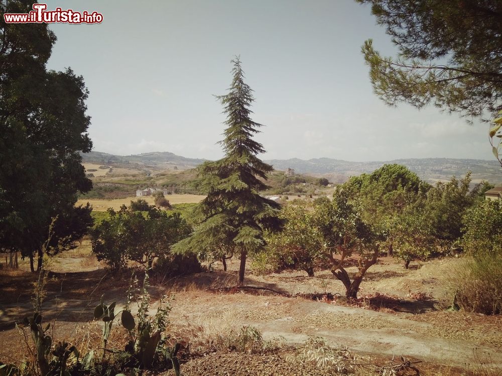Immagine I dintorni di Racalmuto in Sicilia, provincia di Agrigento, lungo il percorso della Strada degli Scrittori Siciliani