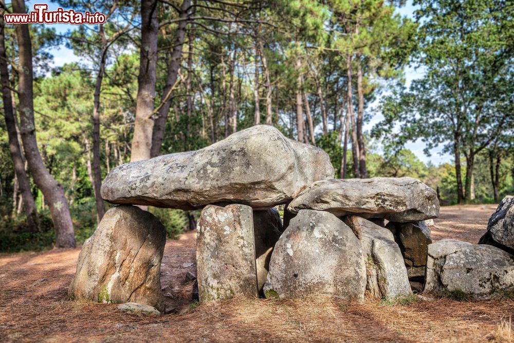 Immagine I dolmen di Mane-Kerioned nei pressi di Carnac, Francia. Si tratta di una tomba megalitica costruita fra il 3500 e il 3000 a.C. con una singolare disposizione: sono tre dolmen di cui uno ricoperto sotto la terra. Gli oggetti riportati alla luce sono esposti al Museo di Preistoria del centro storico di Carnac.