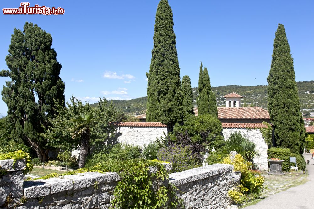 Immagine I giardini del Castello di Duino