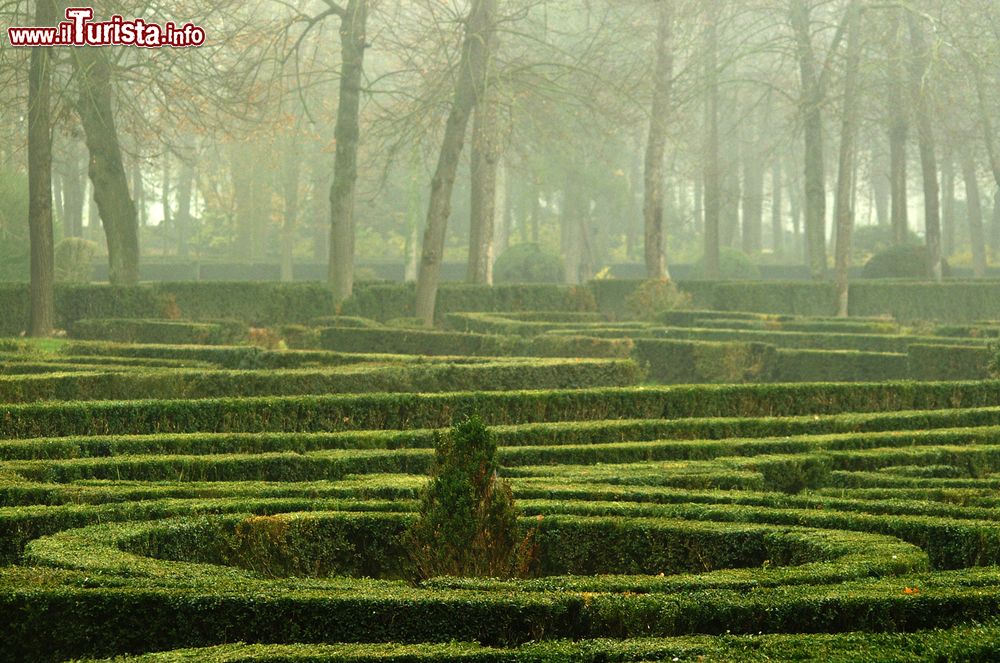 Immagine I giardini di Aranjuez, Spagna, in una giornata di foschia. Per oltre trecento anni la famiglia reale ha lavorato per sviluppare e conservare questo paesaggio naturale che ha le caratteristiche del giardino barocco in stile francese del XVIII° secolo ma anche quelle di un'area al passo con i tempi.