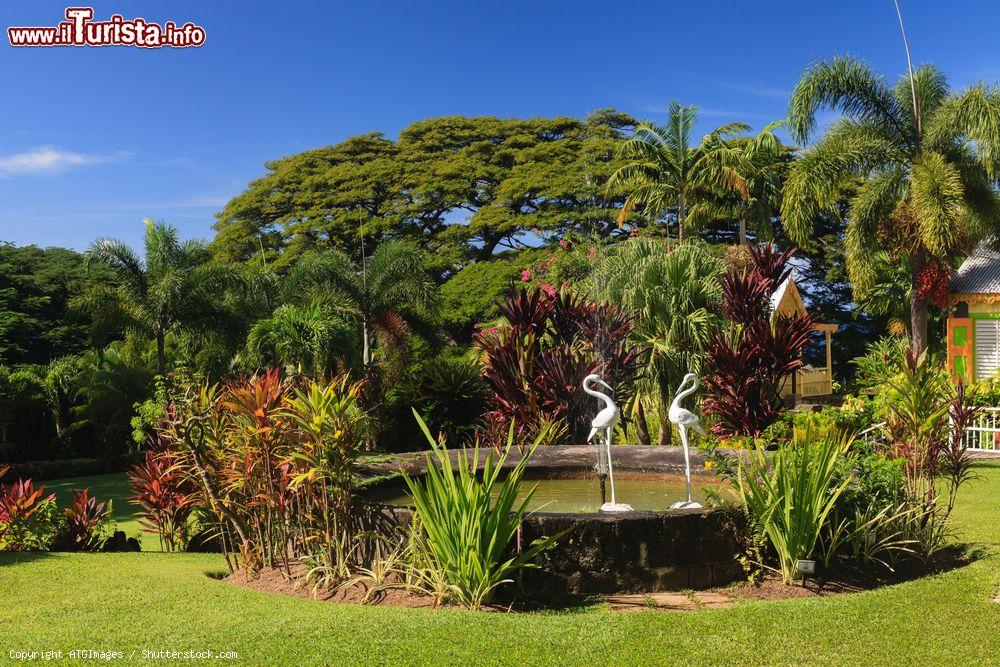 Immagine I giardini di Romney Manor a Basseterre, St. Kitts and Nevis, Indie Occidentali. Il maniero risale al 1626 quando gli europei occuparono questo luogo dopo il massacro degli indiani del Caribe - © ATGImages / Shutterstock.com