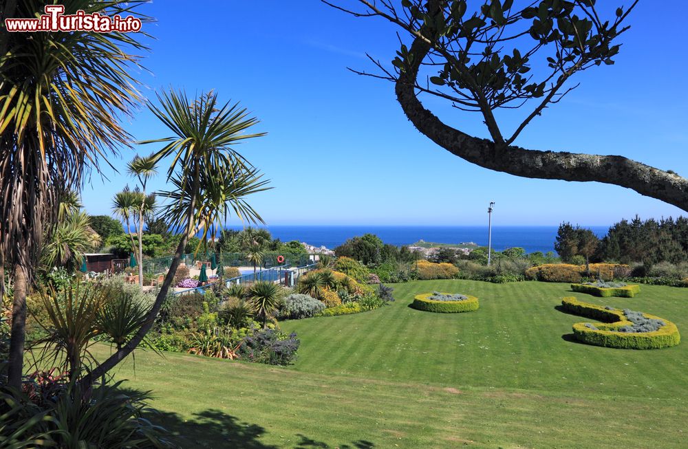 Immagine I giardini Tregenna a St. Ives, Cornovaglia, Regno Unito. Piante tropicali caratterizzano questo parco che circonda il resort Tregenna.