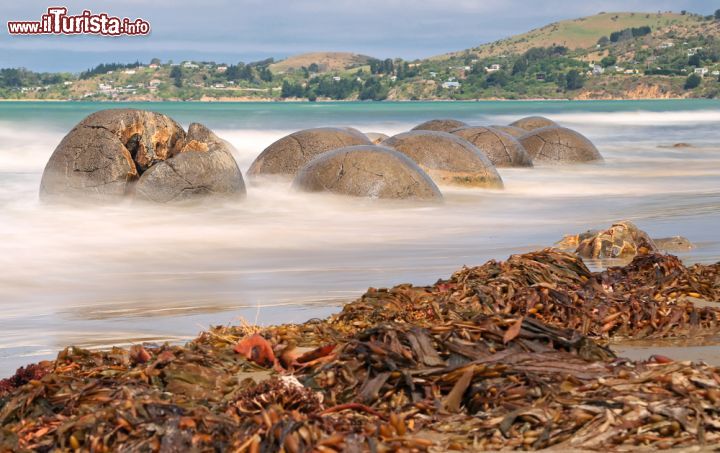 Immagine I Moeraki Boulders a nord di Dunedin in Nuova Zelanda. Sono massi grandi e sferici adagiati lungo un tratto di Koekohe Beach fra Moeraki e Hampden. Fanno parte di una riserva scientifica istituita per la loro salvaguardia  - © Henner Damke / Shutterstock.com